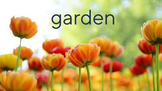series-page-background