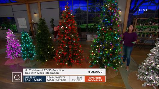 Mr. Christmas - 9/25