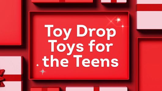 Toy Drop - Toys for the Teens