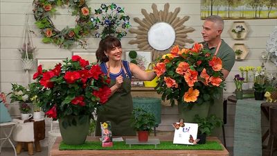 Garden Buds with Alberti & Sandra - 4/10